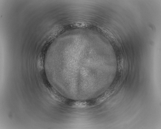 X0000115020606200911161447