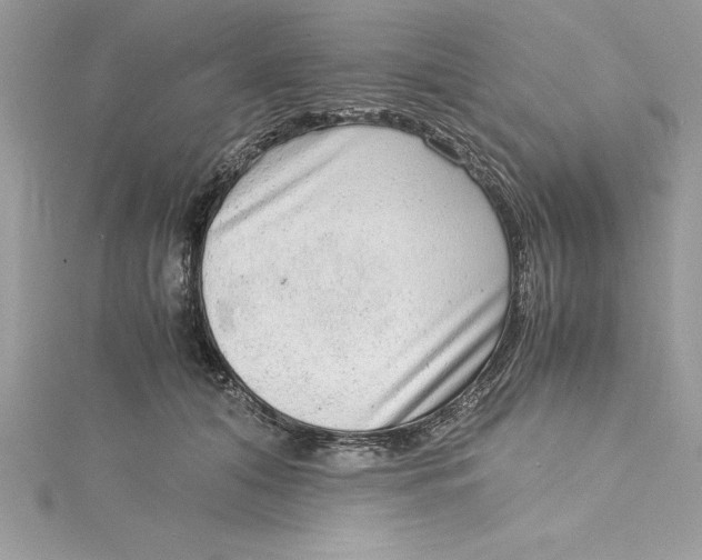 X0000115020608200911161447