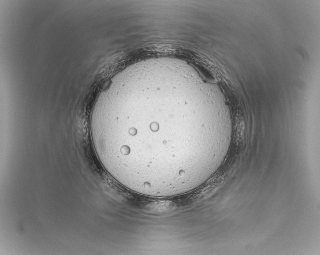 X0000115020609200911161447