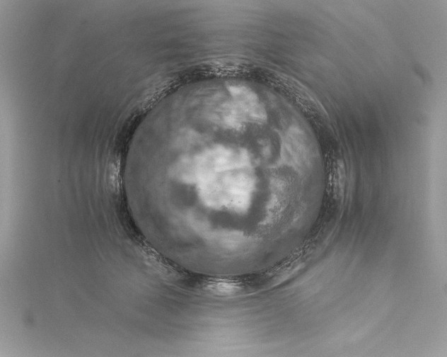 X0000115020610200911161447