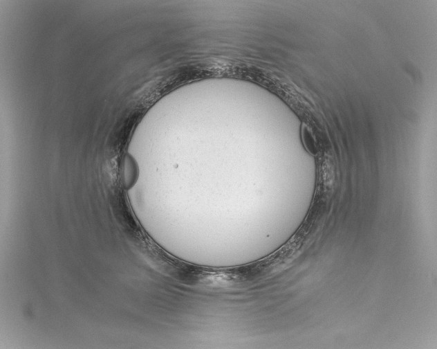 X0000115020611200911161447