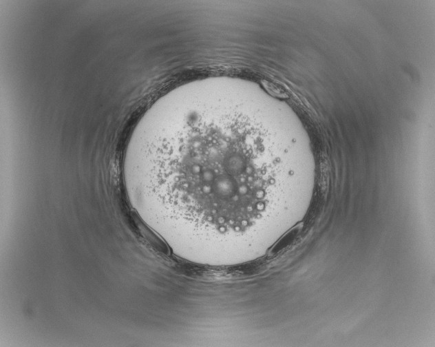 X0000115020613200911161447