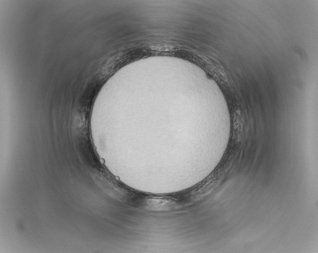 X0000115020614200911161447