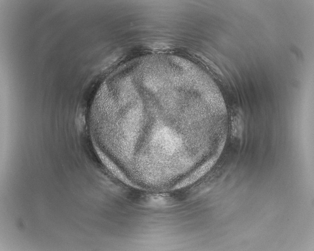 X0000115020618200911161447