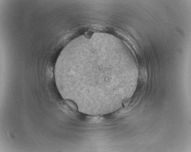 X0000115020621200911161447