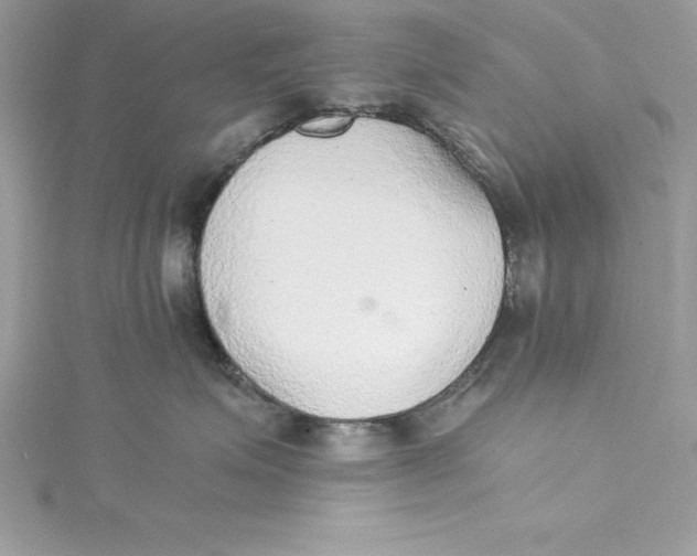 X0000115020623200911161447