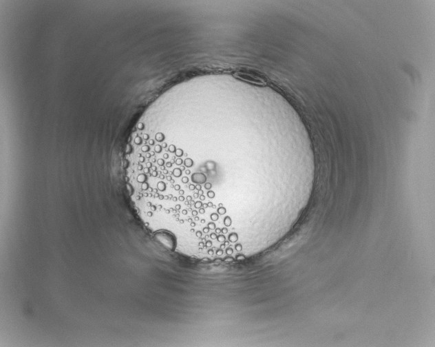 X0000115020624200911161447