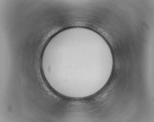 X0000115020625200911161446