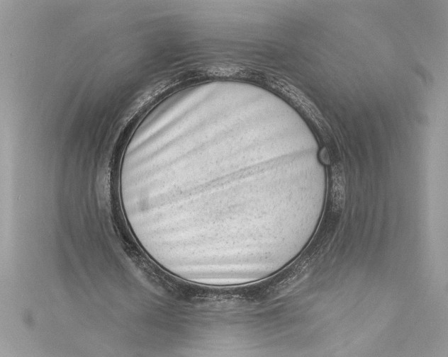 X0000115020626200911161446