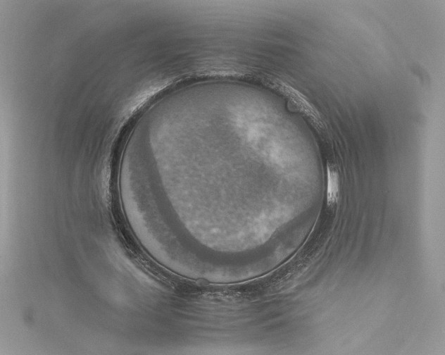 X0000115020627200911161446