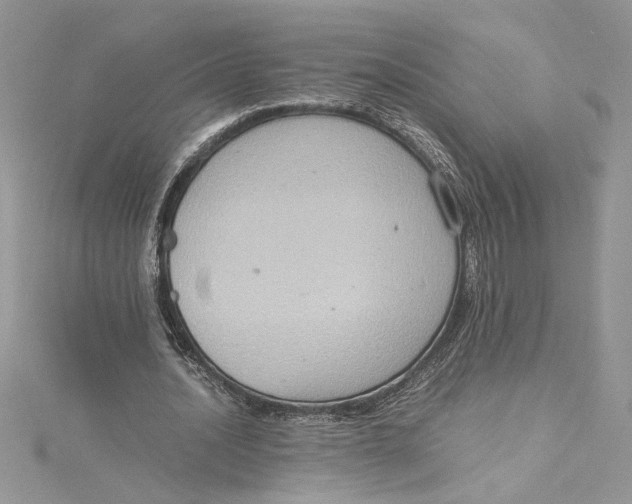 X0000115020628200911161446