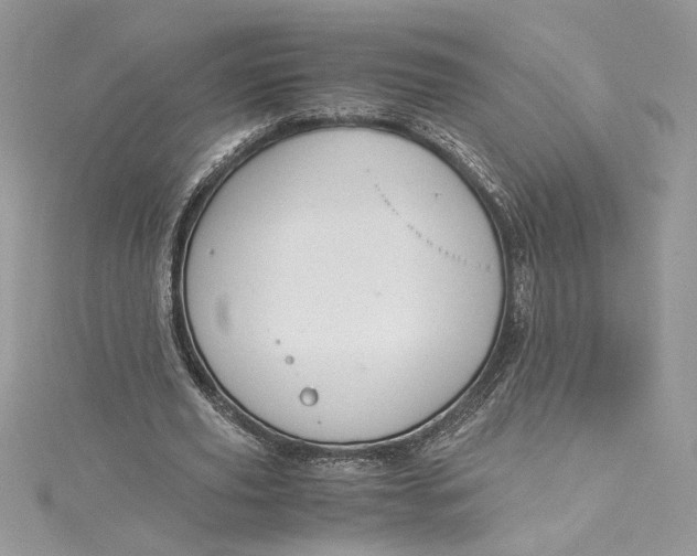 X0000115020629200911161446