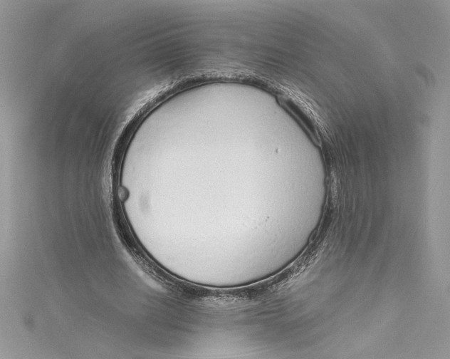 X0000115020630200911161446