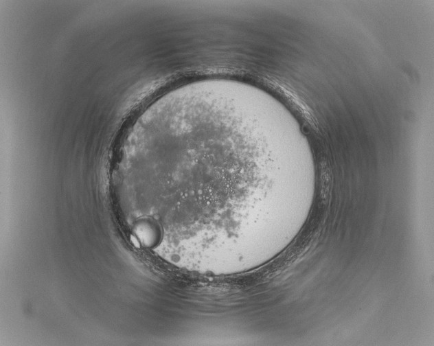 X0000115020631200911161446