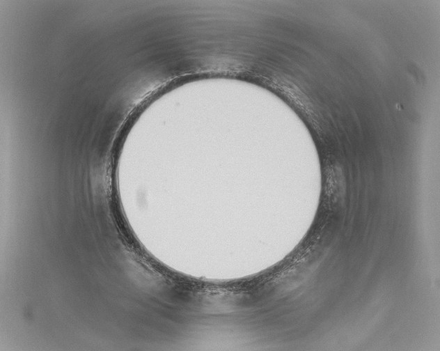 X0000115020632200911161446