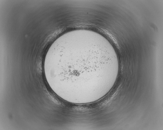 X0000115020633200911161446