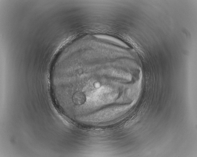 X0000115020634200911161446