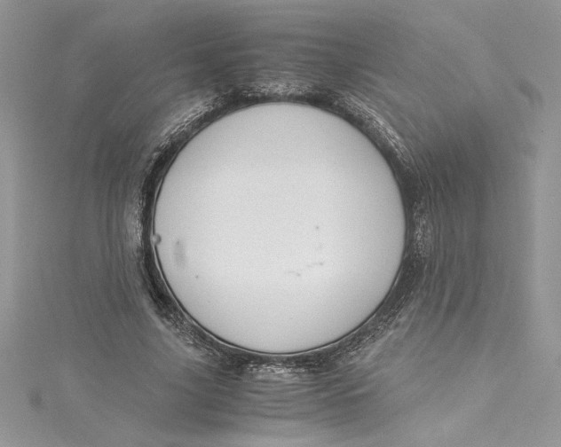 X0000115020635200911161446