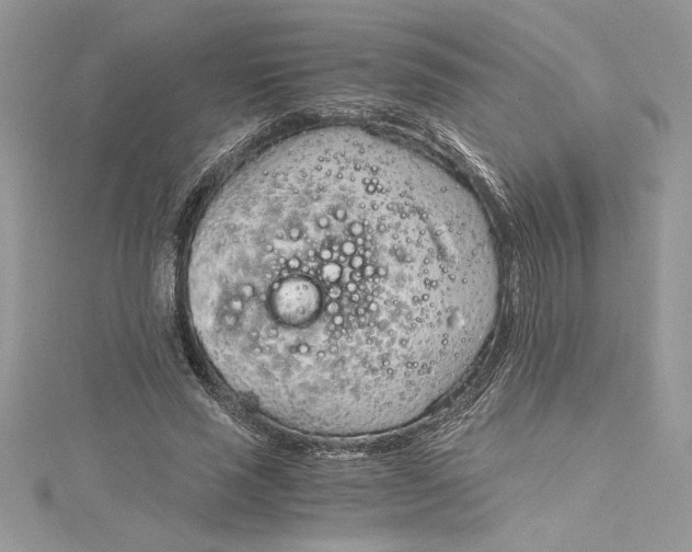 X0000115020637200911161446