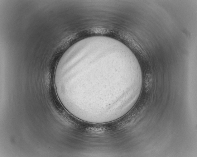 X0000115020639200911161446