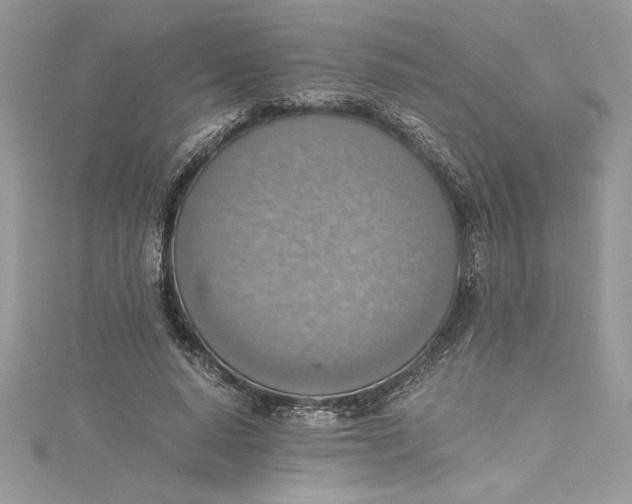 X0000115020640200911161446