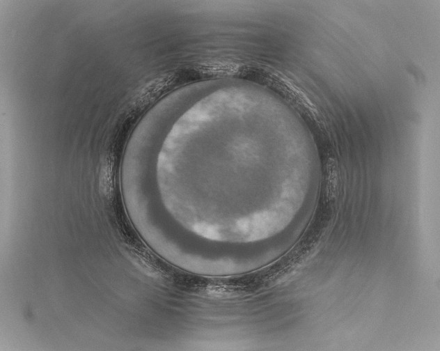 X0000115020641200911161446