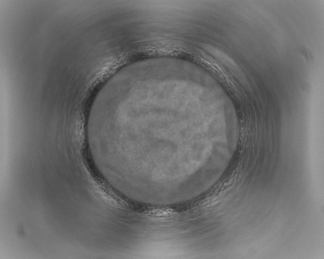 X0000115020642200911161446