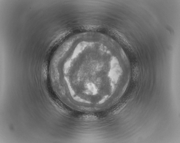 X0000115020644200911161447