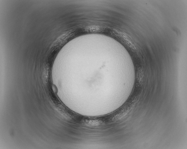 X0000115020645200911161447