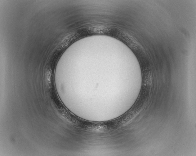 X0000115020646200911161447