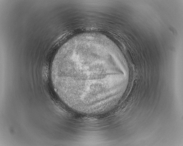 X0000115020648200911161447