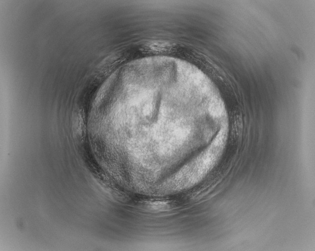 X0000115020651200911161447