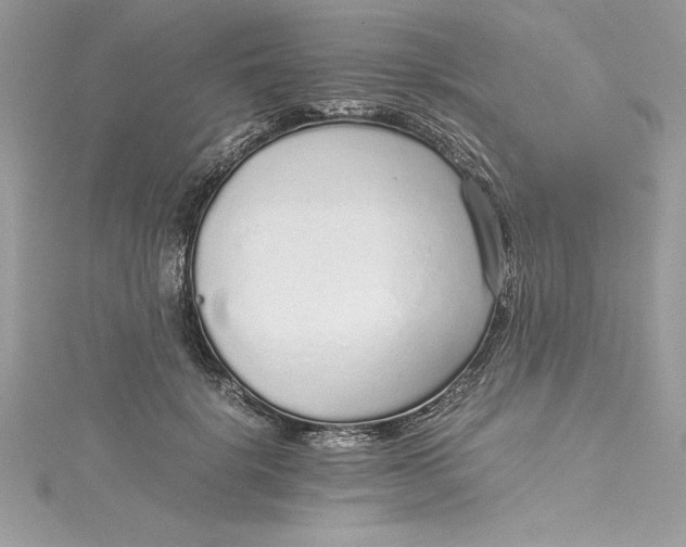 X0000115020652200911161447