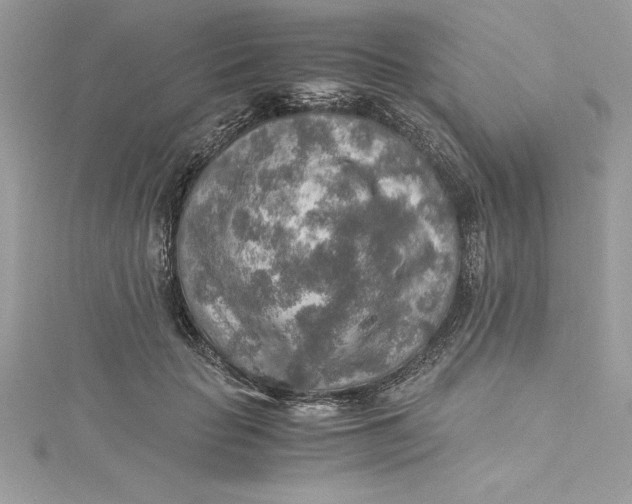 X0000115020653200911161447