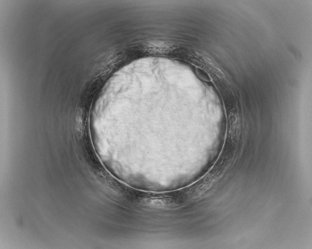 X0000115020655200911161447