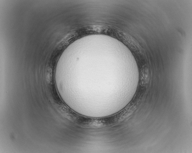 X0000115020656200911161447