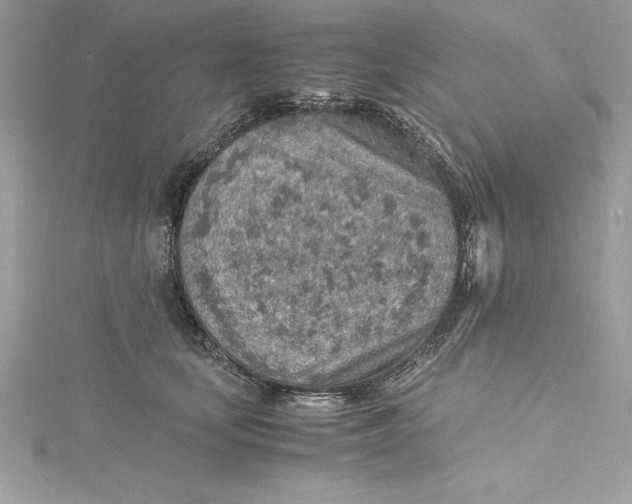 X0000115020659200911161447