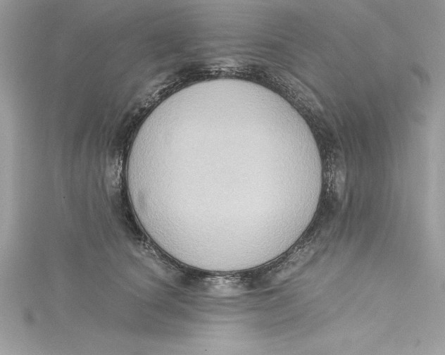 X0000115020660200911161447