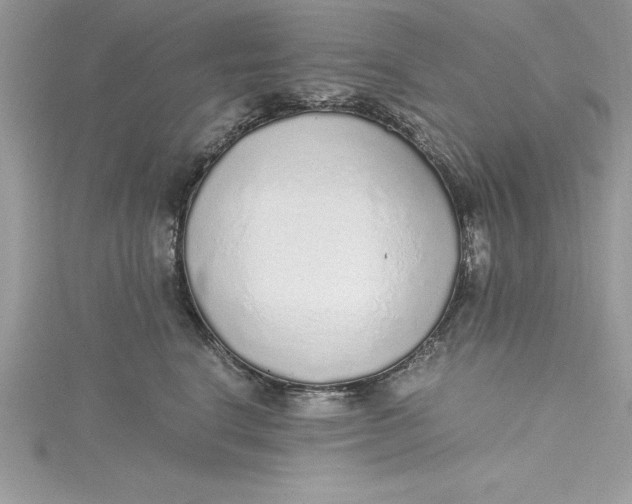 X0000115020664200911161447