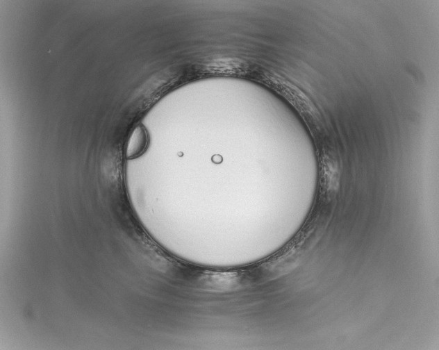 X0000115020665200911161447