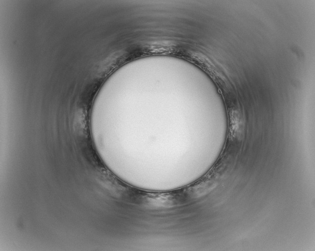 X0000115020667200911161447