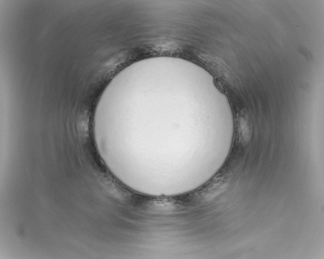 X0000115020668200911161447