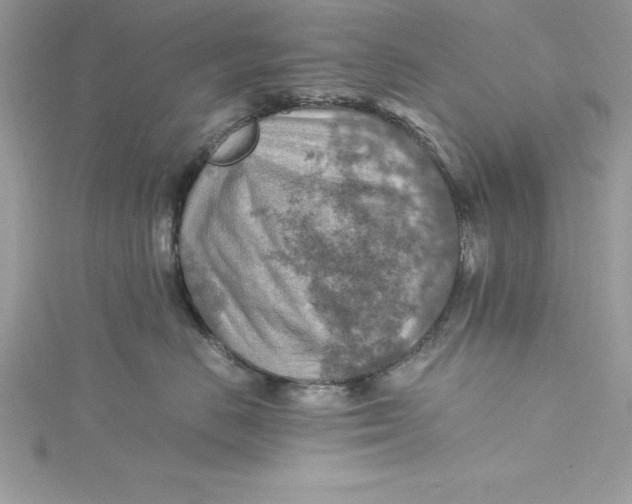 X0000115020670200911161447