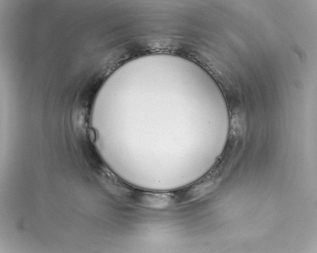 X0000115020671200911161447