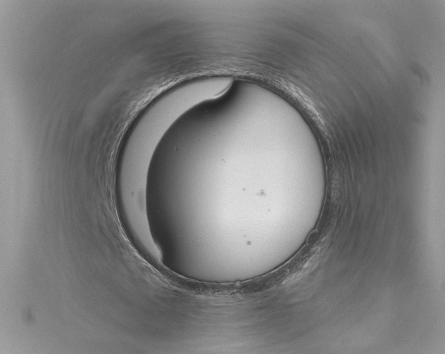 X0000115020673200911161446