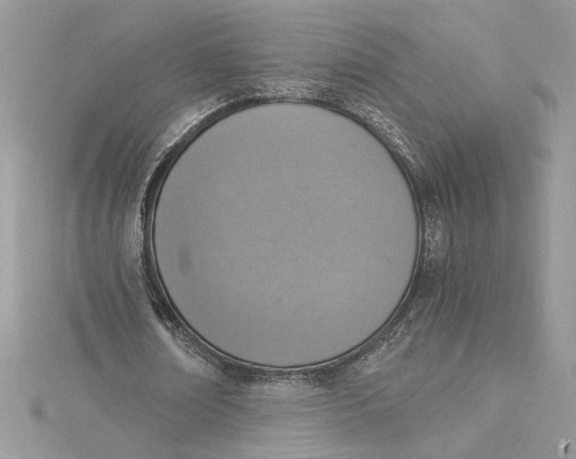 X0000115020674200911161446