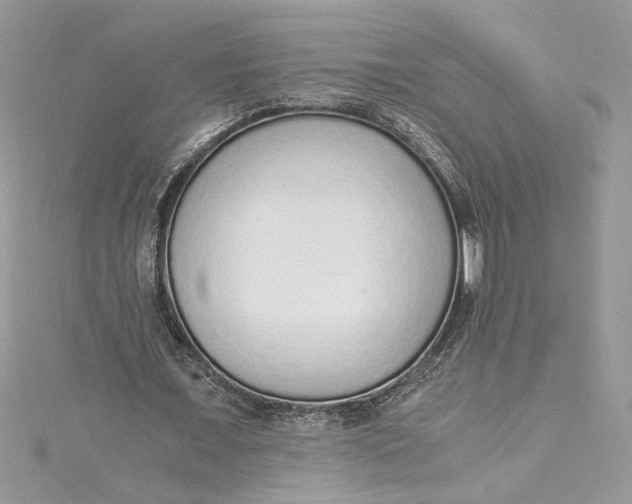 X0000115020675200911161446