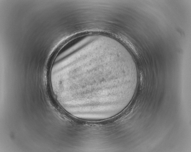 X0000115020676200911161446