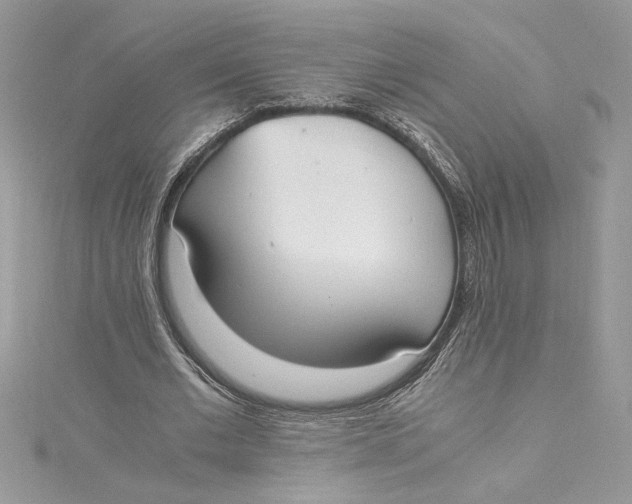 X0000115020677200911161446