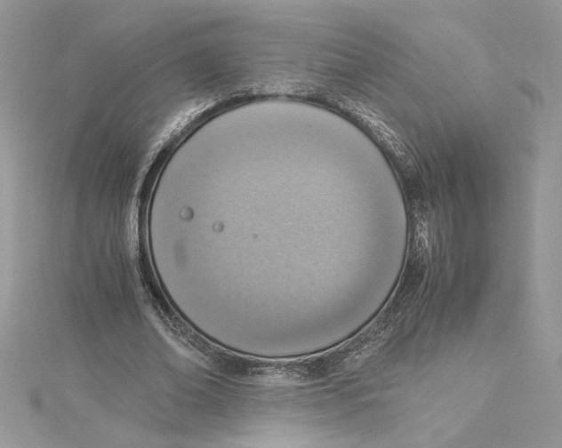 X0000115020678200911161446